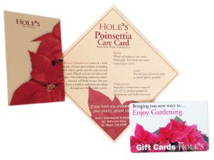 Poinsettia print material